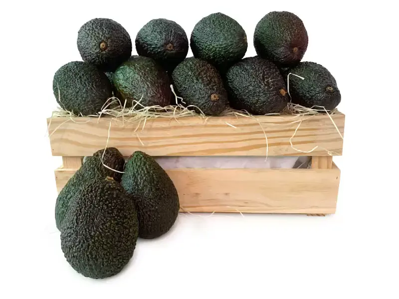 aguacate-caja.webp