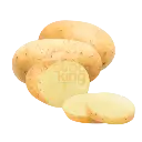 Papa Blanca