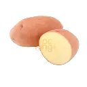 Papa Rosa