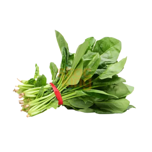 Espinaca