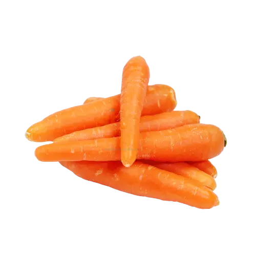 Zanahoria